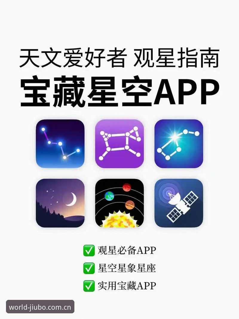 九博官网首页 九博体育平台完整使用指南:从官网首页到APP下载的全流程解析